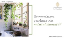 Enhance Your Home with Natural Elements